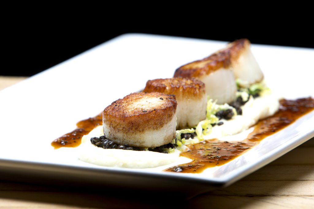 seared scallops